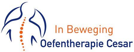 In Beweging Oefentherapie Cesar Fysiotherapie Arnhem - Malburgen
