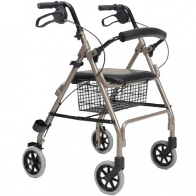 Lichtgewicht Vermeiren Ecolight rollator