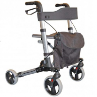 Roma Medical City Walker