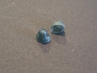 ReSound 10 x Open dome small Surefit