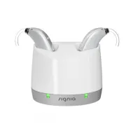 Siemens / Signia Charger Motion Charge&Go P/SP X