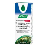 A.Vogel Boldocynara 80 tabletten