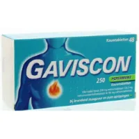 Gaviscon Gaviscon 250 Pepermunt Kauwtabletten 48 tabletten