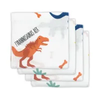 Jollein Hydrofiele Multidoek Small 70x70 cm Dinosaur 4 stuks