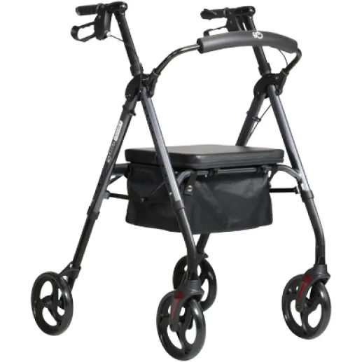 Excel Litewalk II