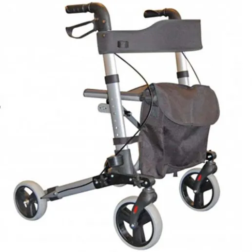Roma Medical City Walker