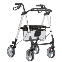 Caremart Litewalk