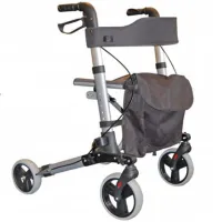 Roma Medical City Walker
