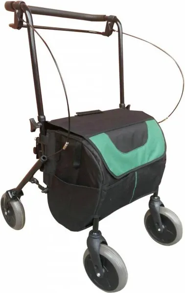 BOODSCHAPPEN ROLLATOR TZ