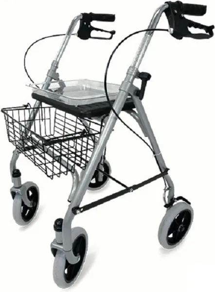 Lichtgewicht rollator Eco