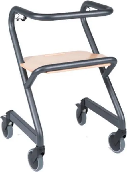 Saljol Page Binnenrollator En Trippelstoel In 1