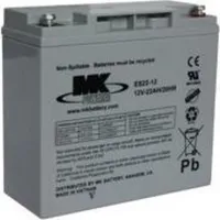 12 V 22 Amp AGM accu