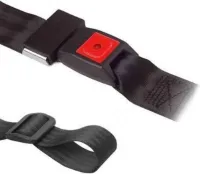 Veiligheidsriem (gordel) Deluxe met pensluiting
