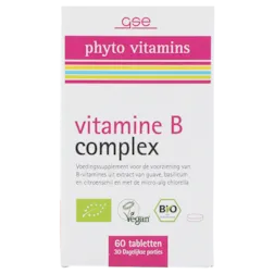 GSE phyto vitamines Vitamine B Complex (60 tabletten)