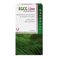Fytostar EGCG Line Groene thee-extract (60 capsules)