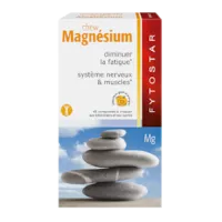 Fytostar Pro Magnesium, 450mg (45 Kauwtabletten)