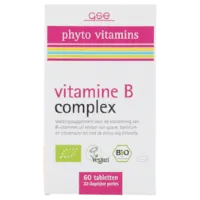 GSE phyto vitamines Vitamine B Complex (60 tabletten)