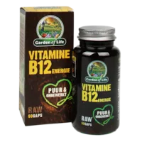Garden Of Life Raw Vitamine B12 Energie (60 Capsules)